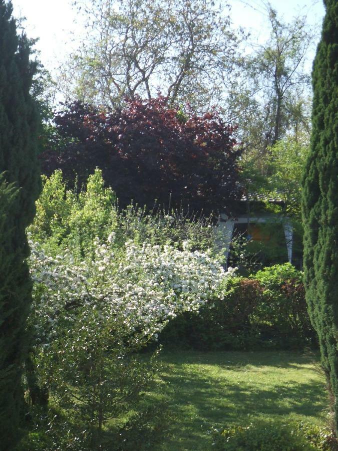 La Rose Tremiere Ξενοδοχείο Wintzenheim-Kochersberg Εξωτερικό φωτογραφία